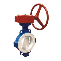 國标襯氟閥門（對(dui)夾）