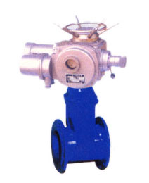 彈性(xìng)座封閘閥3