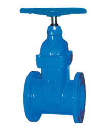 彈性(xìng)座封閘(zha)閥